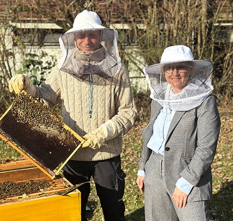Frühling bei beck ist Bienenzeit